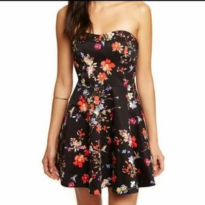 Express Hummingbird Dress